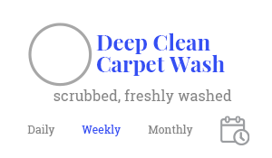 deep cleaning, carpet washing, checklist item